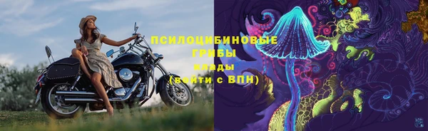 прущие грибы Волоколамск