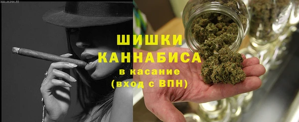 сатива Пересвет