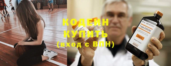 прущие грибы Волоколамск