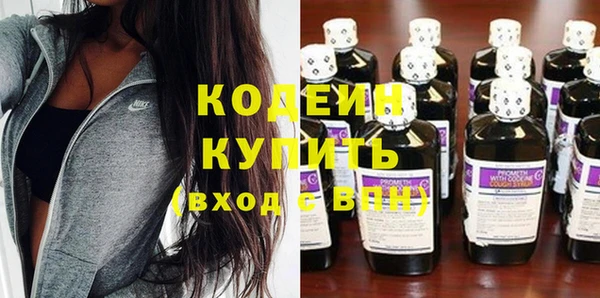 прущие грибы Волоколамск