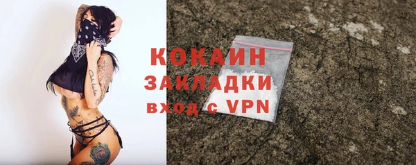 прущие грибы Волоколамск