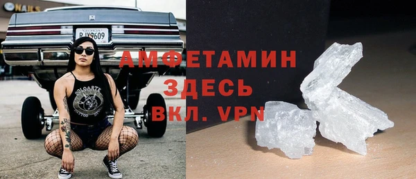 прущие грибы Волоколамск