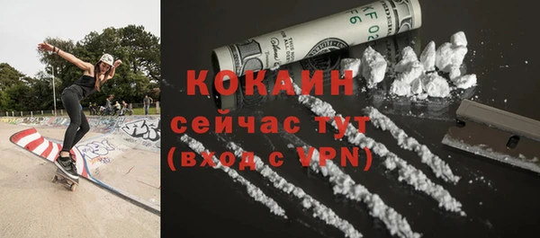 прущие грибы Волоколамск