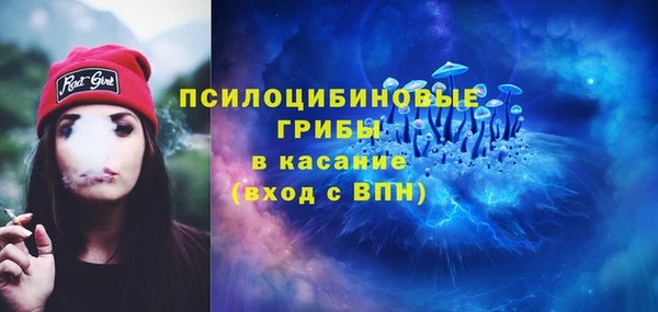 прущие грибы Волоколамск
