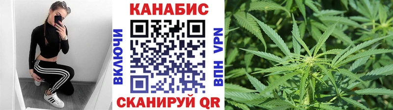 Каннабис индика Шиханы